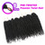 Bileaf Passion Twist Crochet Hair for Black Women 10 Inch Crochet Twist