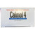 Calmol 4 Hemorrhoidal Suppositories 24 Each (Pack of 2)