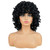 AIDUSA Short Loose Curly Wigs for Black Women Afro Wig for Black Women Curly Wig for Women Synthetic Wigs for Women Fluffy Natural Soft Hair (#1B Natural Black)