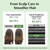 RATED GREEN Rosemary Scalp Treatment for Oily Flaky Scalp