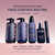 UNOVE Frizz-Calming Sleek Shampoo, Anti-Frizz Hydrating Shampoo for Frizzy Hair, Gentle Cleansing Shampoo for Softness & Glossy Shine, Humidity-Resistant Frizz Control, Blush Musk, 290 mL / 9.80 fl oz
