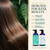 PURA D'OR Sleek & Smooth Shampoo and Conditioner Set For Frizz-Free & Silky Smooth Hair, Infused with Organic Aloe Vera, Argan Oil, Castor Oil, Bergamot Oil & Geranium Oil