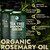 Rosemary Shampoo and Conditioner Set with Tea Tree for Hair Growth & Scalp