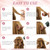 Therwen 18 Pcs Thermal Hair Roller for Women with Long Hair,Terracotta