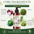 Onion Hydrosol Shampoo And Conditioner Growth With Rosemary