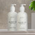 Alice + Co. Shampoo & Conditioner | Lavender & Eucalyptus | Fairfield by Marriott | Hotel Bath Amenities | 8.5 oz Bottles | Hair Care Set