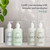 Alice + Co. Shampoo & Conditioner | Lavender & Eucalyptus | Fairfield by Marriott | Hotel Bath Amenities | 8.5 oz Bottles | Hair Care Set