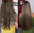 MAIKE AMOUR Keratina Organica 1 LITRO - 12 Aceites Naturales and Aminoacids for shine, softness and nutrition. | Organic Keratin WITHOUT Formol WITHOUT Amoniaco | Keratin to straighten hair.