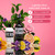VERB Ghost Icons Kit, 4 pc - for Smooth + Shiny Hair - Gentle Citrus + Sweet Violet Scent