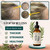 Fari Oil Hair Growth Oil, Organic Holistic Hair Oils for Men with Herbal Infusion Botanical Scalp, Pure Natural Plant-Based Formula, Daily Nourishment for Dry Scalp & Edges (2 PCS)