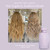 Goldie Locks Brilliant Blonde Purple Shampoo - Brightens & Tones Blonde, Grey & Lightened Hair - Neutralizes Brass - Sulfate-Free - Safe for Extensions & Color-Treated Hair - Protein-Free - 8.45 fl oz