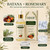 ODOF Batana Oil-Infused Scalp Serum with Rosemary