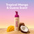 Coco & Eve Self Tanner Mousse Kit - Bronzing Foam, Tanning Mitt - Dark