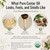 J MAC BOTANICALS Organic Castor Oil Cold Pressed in Amber Glass Bottle (32 oz) USDA Certified, Hexane Free - Moisturizing Oil for Hair, Skin, Face, Eyelashes, Brows, Nails, and Castor Wraps