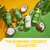 Alaffia EveryDay Coconut Body Lotion, Purely Coconut 2-Pack, 32 Oz Ea