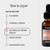 Brandefy No Needles Niacinamide Peptide + Hyaluronic Acid Face Serum