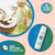 Chap-Lip Lip Balm Vitamin E Lip Balm with Coconut Oil - Lip Moisturizer Treatment - Soothing, & Refreshing, Total Hydration Treatment & Lip Therapy - Assortment of 6 Refreshing Flavors, 60 Count