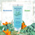 Bergman Kelly - Hotel Toiletries Bundle - Tropical Waterfall, 1 oz each, 100 Pcs - 4-Piece Set: 25 Rectangular Bar Soap, 25 Shampoo, 25 Conditioner & 25 Body Lotion - Bulk Mini Guest Amenities Supply