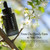 Le Prunier Plum Beauty Oil Face Oil, Hydrating Antioxidant Facial Oil