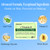 300 Count Makeup Remover Wipes Bulk, Individually Wrapped & Travel Size