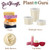 Plant Guru Raw Kokum Butter 32 oz. / 2 lbs. 100% Pure Natural Cold Pressed - Great for Skin, Body and Hair Moisturizer, DIY Creams, Balms, Lotions and Soap Making.
