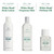 The Body Shop White Musk Scented Body Lotion | SIlky, Vegan, 8.4 Oz