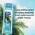 Suave Essentials Gentle Body Wash Ocean Breeze 6 Count With A Fresh Oil Blend Essence Infused With Vitamin E & Algae Extract 18 Oz