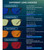 ANYLUV Blue Light Glasses for Women & Men, Stylish Blue Light Blocking Glasses, Eyes Protection & Anti Eyestrain Eyewear