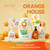 ORANGE HOUSE Hand Soap, Cold-Pressed Orange Oil, 12 Fl Oz (Pack of 3)