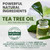 Tea Tree Shampoo and Conditioner Set MaxTherapy, Sulfate-Free