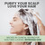 Tea Tree Shampoo and Conditioner Set MaxTherapy, Sulfate-Free