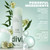divi Soft Finish Hairspray, 24-Hr Flexible Hold Hair Spray, 9 fl oz