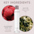 ALURAM High Hold Finishing Spray, All-Day Humidity Resistant Hold with Raspberry & Acai Oils, 10 Fl Oz