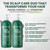 Tea Tree Lavender Eucalyptus Shampoo & Conditioner Set, Sulfate-Free