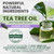 Tea Tree Lavender Eucalyptus Shampoo & Conditioner Set, Sulfate-Free