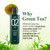 AMOS PROFESSIONAL The Green Tea Shampoo Refresh [For Oily Scalp] 17.6oz (500g) | Anti-Hair Loss Korean Hair Growth Shampoo for Cleanse Excess Sebum