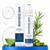 Bodywise Hair Growth Serum Roll On