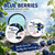 Blueberry Fields Shampoo & Conditioner, for Hair Strengthening | Blueberry Organics Shampoo Bar Hair Care Bundl,Strengthening, Thickening & Volumizing (1Set)