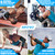 APOYO Elbow Brace for Tendonitis and Tennis Elbow, (Pair) Compression Sleeve for Arthritis, Workouts, Reduce Joint Pain During Fitness Activity (X-Large)