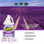 OdoBan Ready-to-Use Disinfectant and Harsh Aroma Eliminator, Set of 2, 14.6 Ounce 360-Degree Continuous Spray Fabric/Air Freshener and 1 Gallon Multi-Purpose Cleaning Concentrate, Lavender Scent