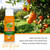 OdoBan Aroma Eliminator, 360-Degree Continuous Spray Natural Oil Real Citrus Air Freshener, Toilet Spray, 6-Pack, 10 Ounces Each, Orange Scent