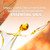 Air Wick Plug In Scented Oil Refill, 10ct, Bonfire & Crisp Fall Air + Brown Sugar & Vanilla, Essential Oils, Air Freshener.