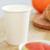 RACETOP Hot Paper Coffee Cups 12 oz [300 Pack], Disposable Coffee Cups 12 oz, Upgraded Weight Of Paper, White