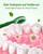 nicedae Disposable Mini Travel Toothbrush Bulk with Toothpaste 5in1 60Ct Portable Toothbrushes Set Floss Pick Tongue Scraper Cruise and Travel Essentials (Green)