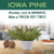 Mrs. MEYER'S CLEAN DAY Multi-Purpose Cleaner Spray Iowa Pine, 16 Fl Oz (Pack of 6)