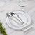 Goodluck 175 Pieces Silver Dinnerware Set for 25 Guests, Plastic Plates Disposable for Party, Include: 25 Silver Dinner Plates, 25 Dessert Plates, 25 Paper Napkins, 25 Cups, 25 Silverware Set