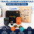 Travel Laundry Detergent Sheets with Laundry Bag and Strong Portable Clothesline – Laundry Detergent Sheets, Foldable Laundry Bag & Elastic Travel Clothesline for Hotels, Cruises & Trips