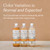 Branch Basics Concentrate (33.8 oz) + Oxygen Boost (4 lbs) | Multi-Surface All Purpose Cleaner Concentrate + Natural Stain Remover, Grout Cleaner | Human-Safe, Fragrance Free