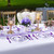 I00000 350 Pcs Clear Purple Plates for 50 Guests, Purple Dinnerware Include 100 Plates, 50 Cups, 50 Pre Rolled Napkins with Cutlery Set for Party and Wedding