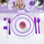 I00000 350 Pcs Clear Purple Plates for 50 Guests, Purple Dinnerware Include 100 Plates, 50 Cups, 50 Pre Rolled Napkins with Cutlery Set for Party and Wedding